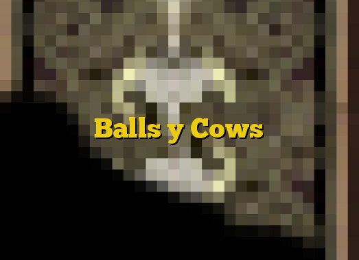 Balls y Cows